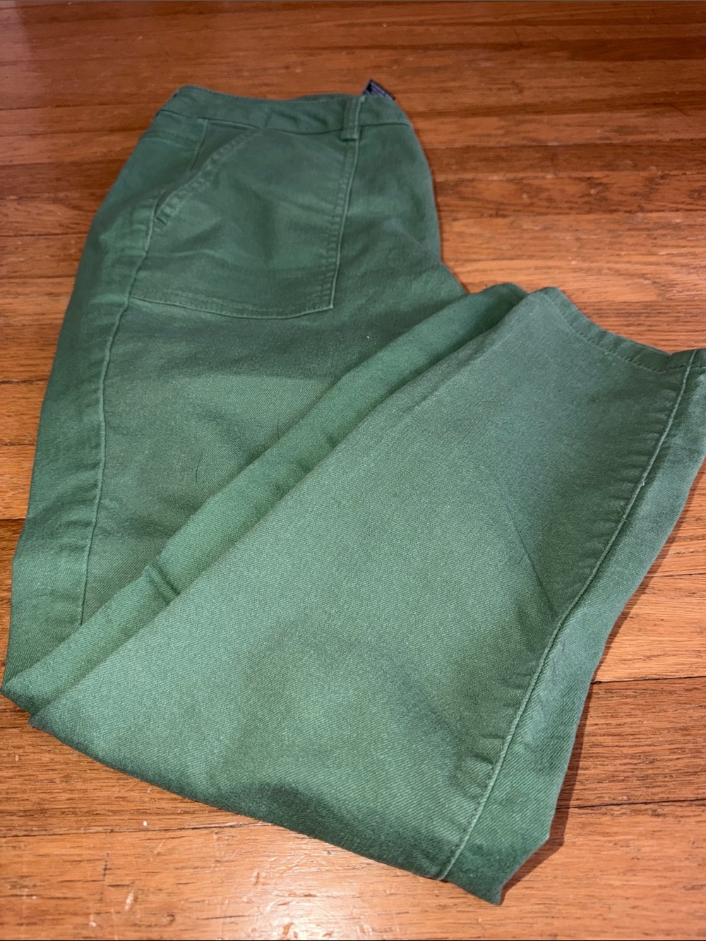 d jeans Women’s Sz 10 Classic Skinny Green Pants/jeans. Like new.
